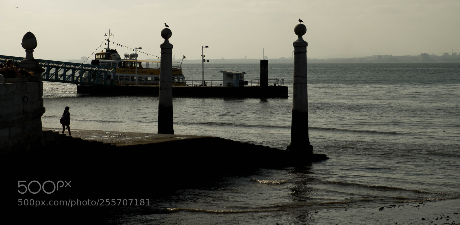 Fujifilm X-T2 sample photo. Two birds in lisboa photography