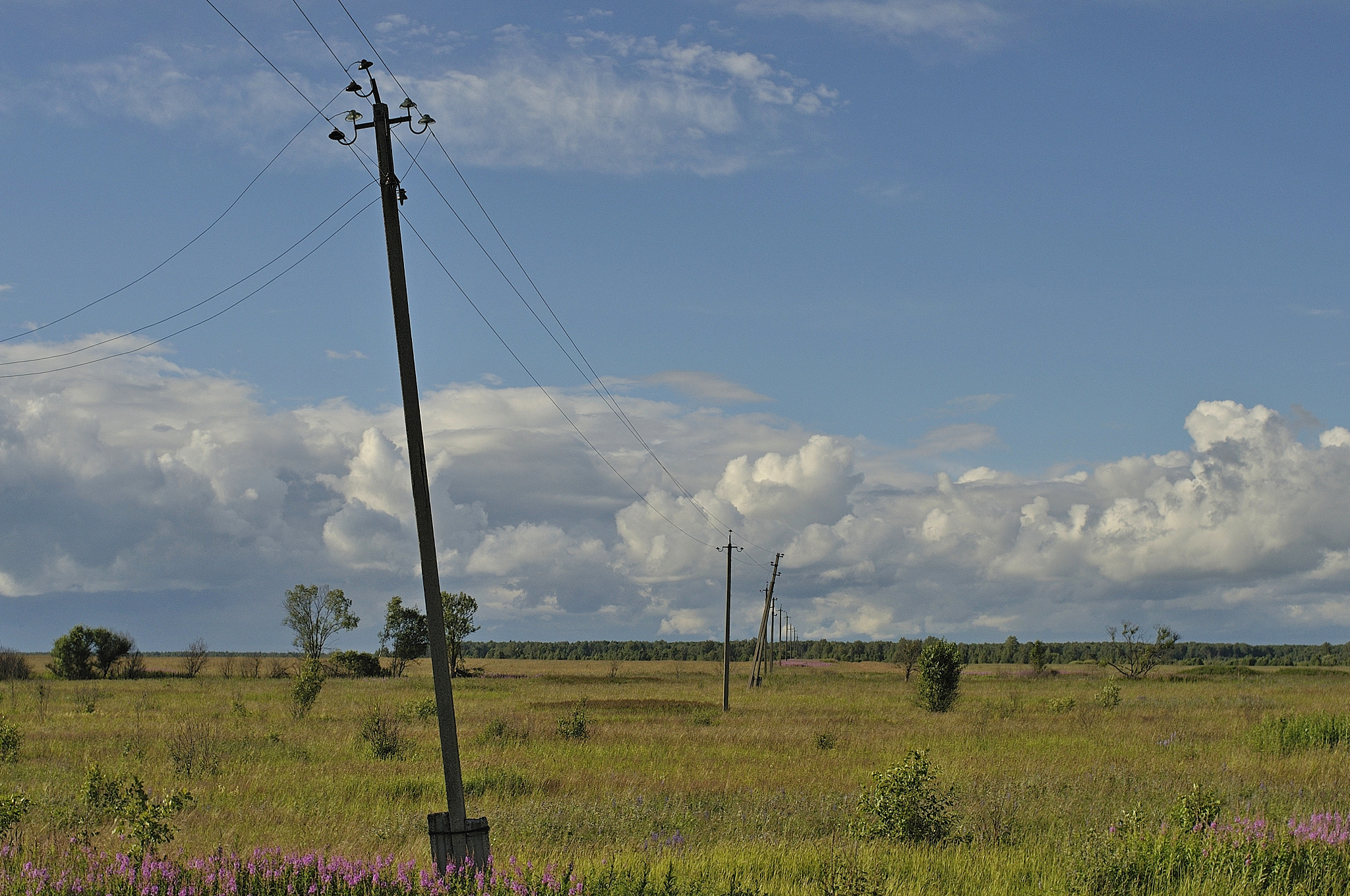 Nikon D90 + Nikon AF Nikkor 35mm F2D sample photo. On the way to yelnya photography