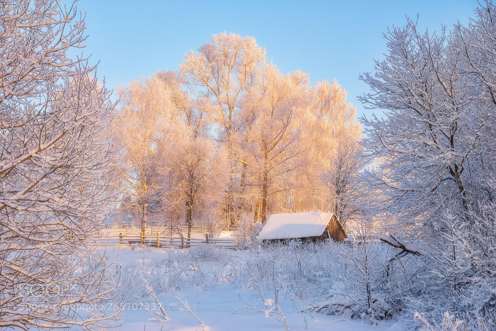 Nikon D610 sample photo. 909. winter in the photography
