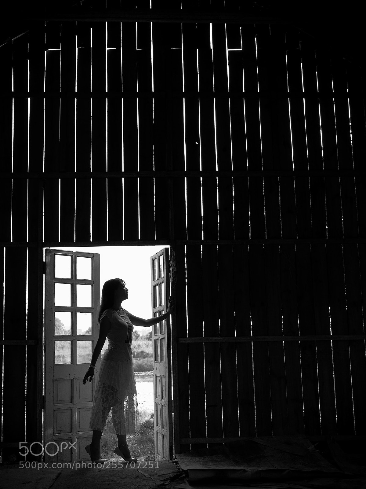 Fujifilm X-E2 sample photo. Untitled photography
