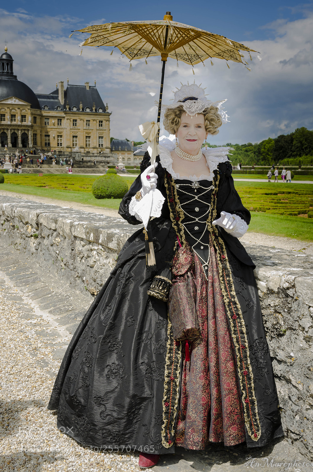 Nikon D7000 sample photo. Vaux le vicomte journ photography