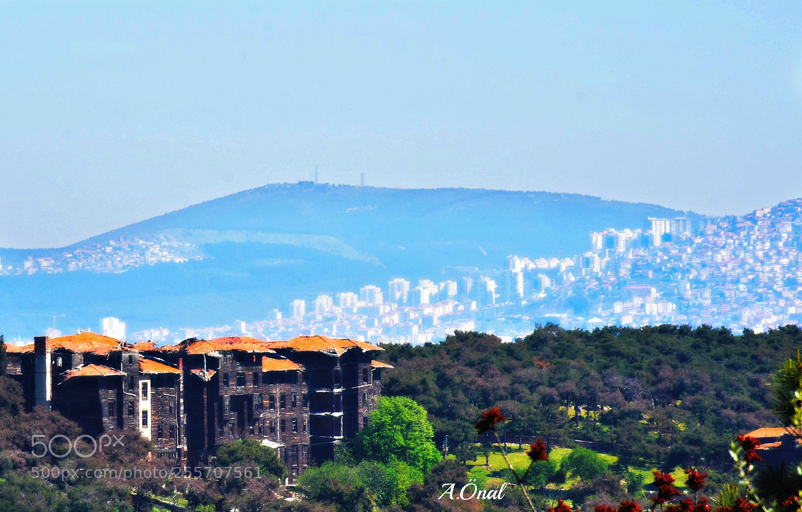 Nikon D7200 sample photo. Untitled photography