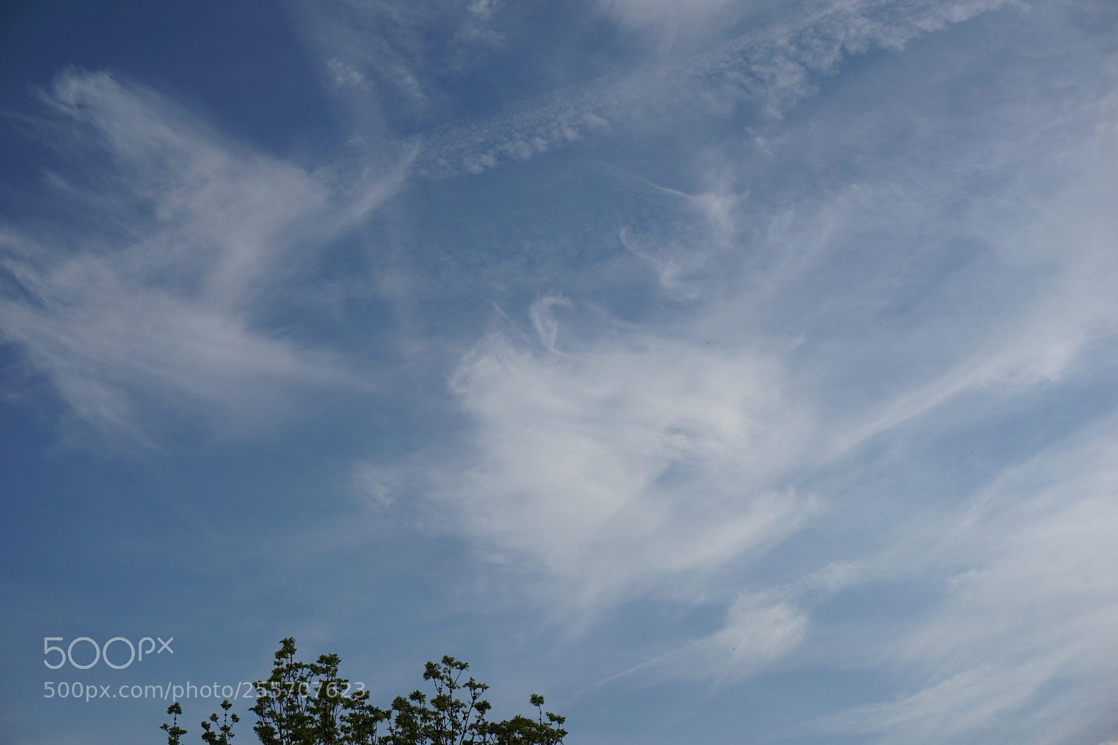 Sony a6000 sample photo. Natur photography