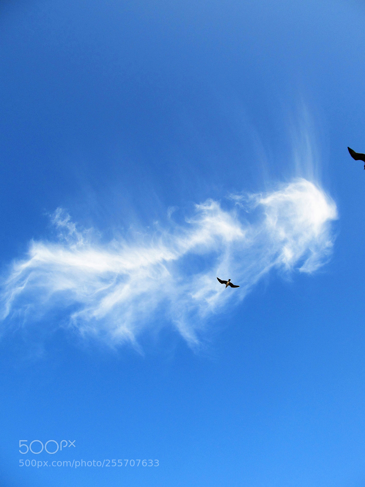 Canon PowerShot SX130 IS sample photo. Blauer himmel photography