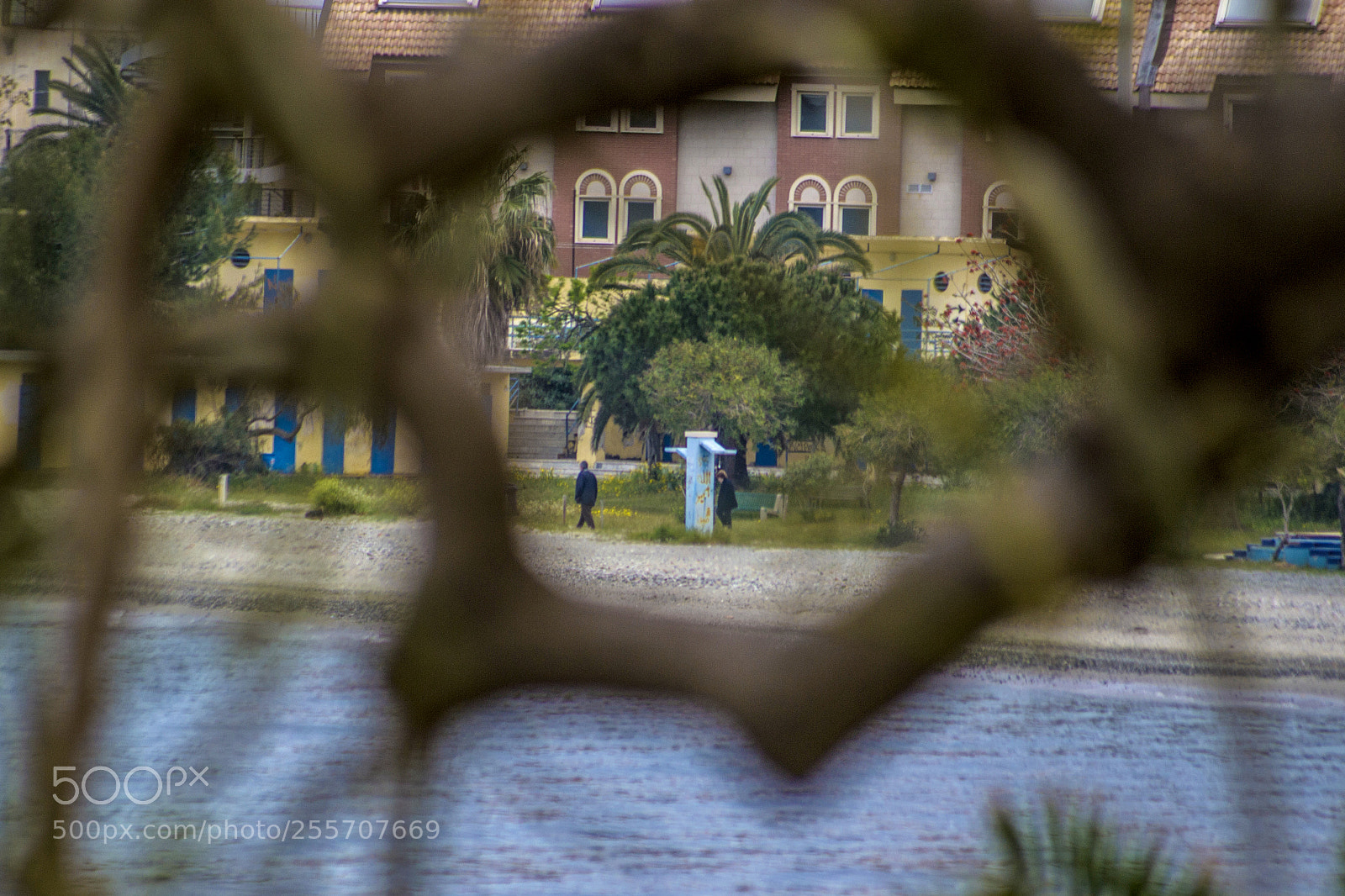 Nikon D3100 sample photo. B () photography