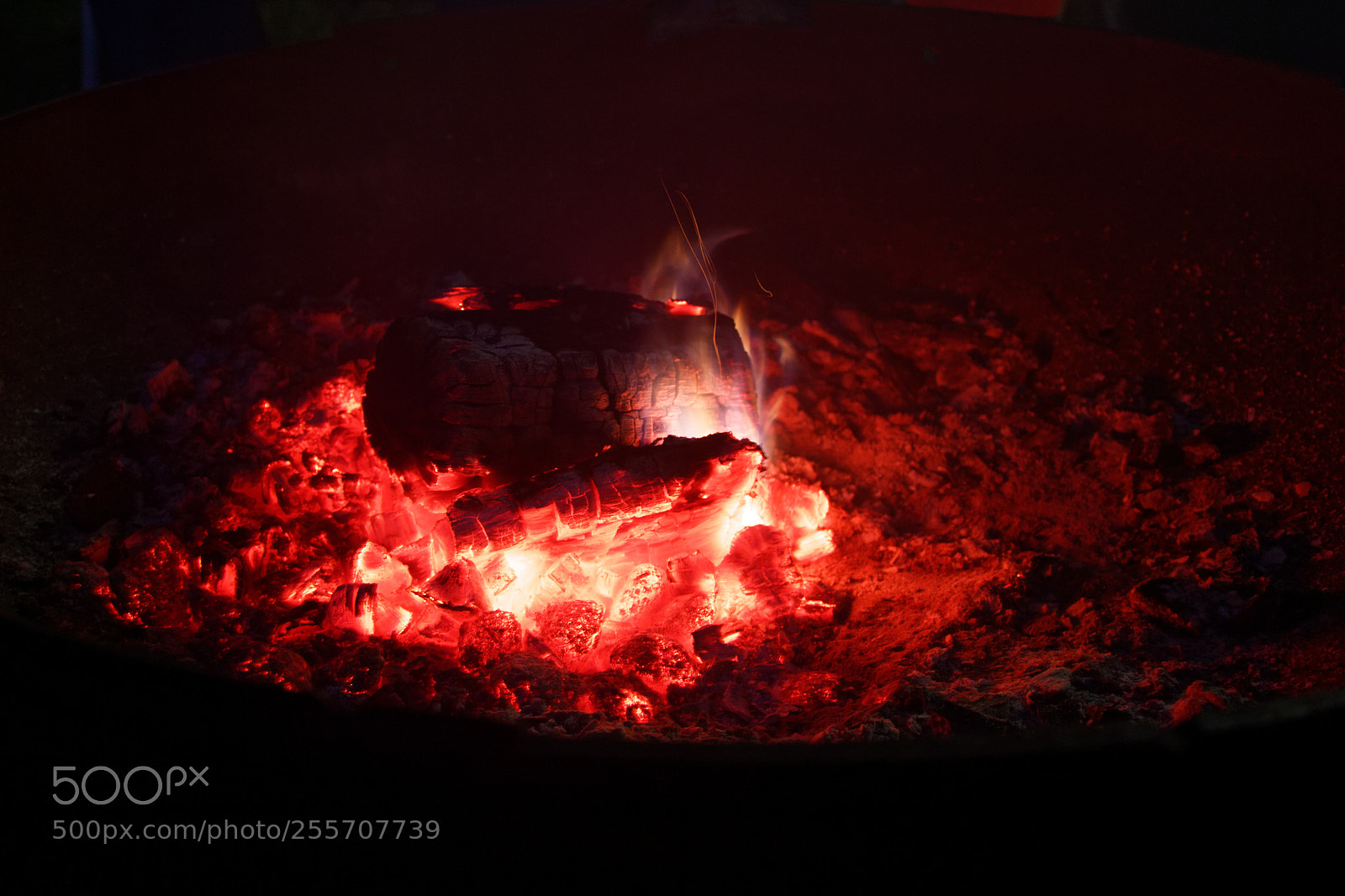 Canon EOS 700D (EOS Rebel T5i / EOS Kiss X7i) sample photo. The last wood has photography