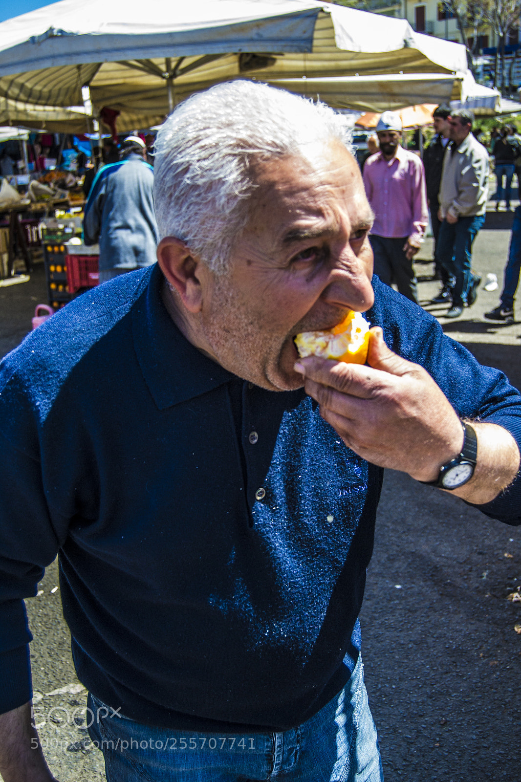 Nikon D3100 sample photo. B () photography