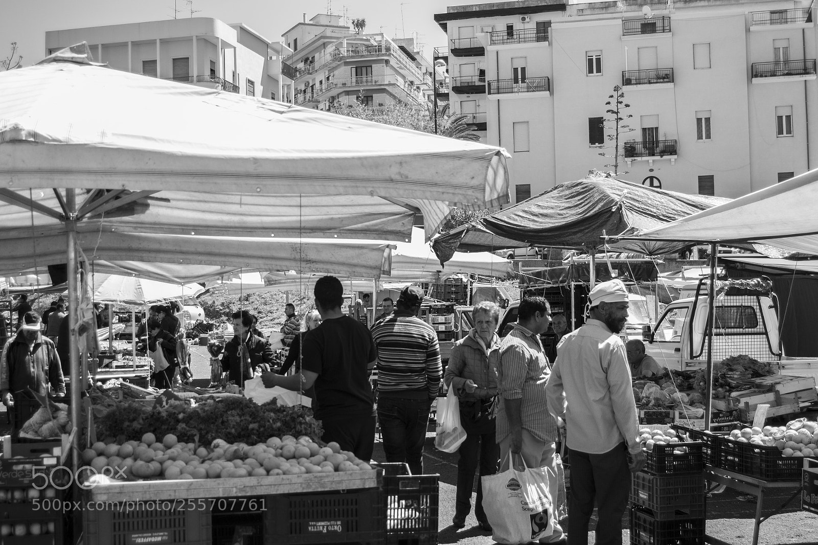 Nikon D3100 sample photo. B () photography