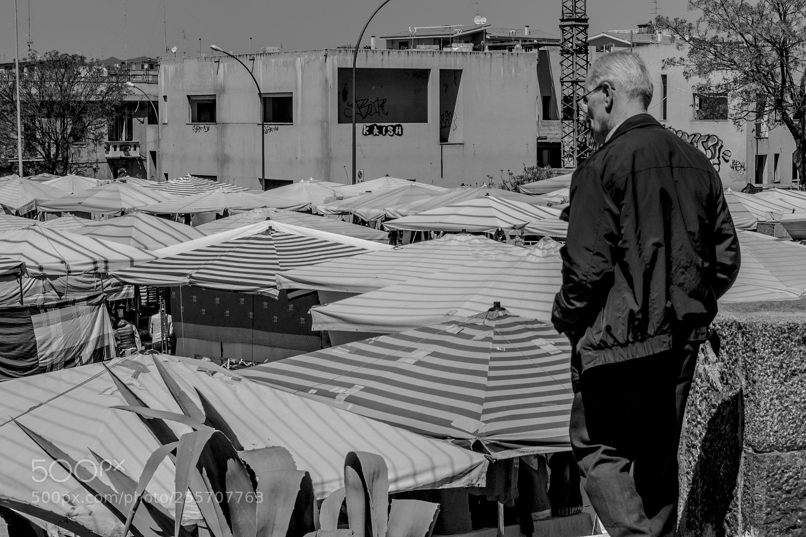 Nikon D3100 sample photo. B () photography