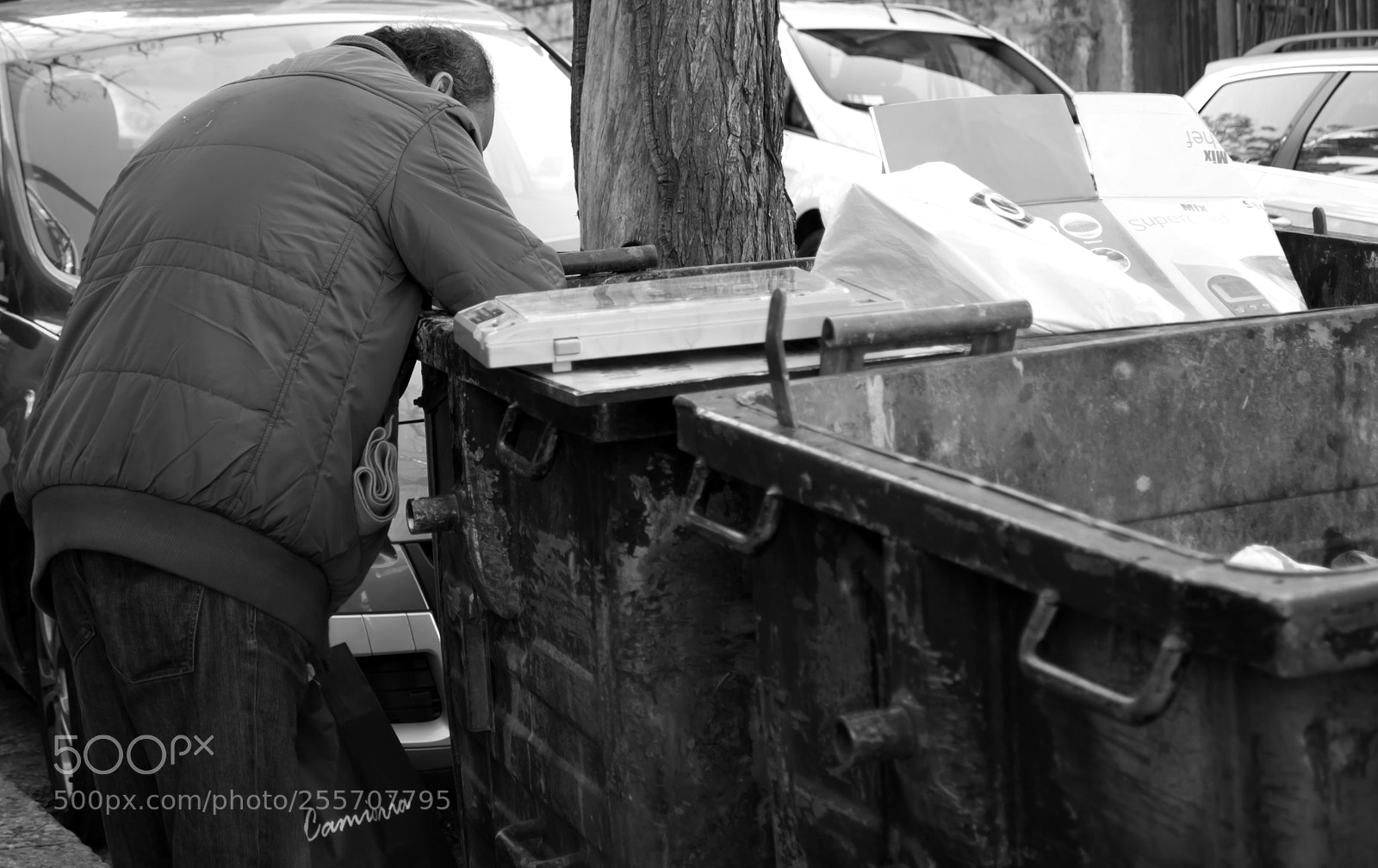 Nikon D3100 sample photo. B () photography