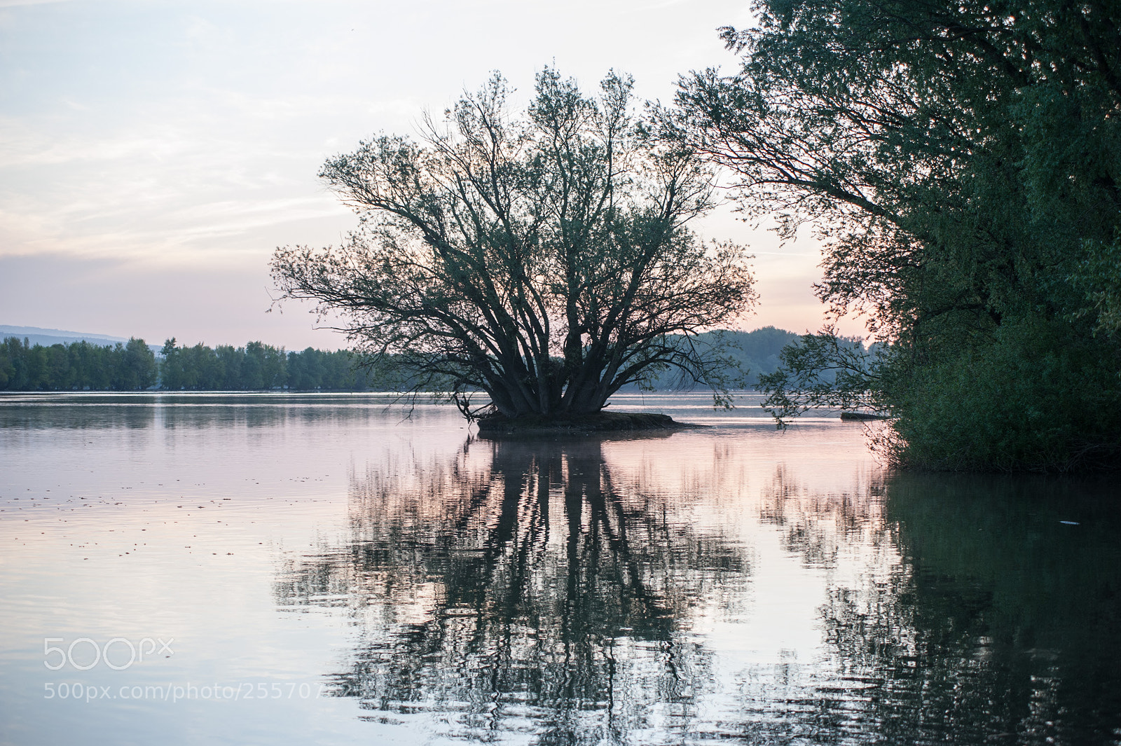 Nikon D700 sample photo. Cloudy sunrise photography