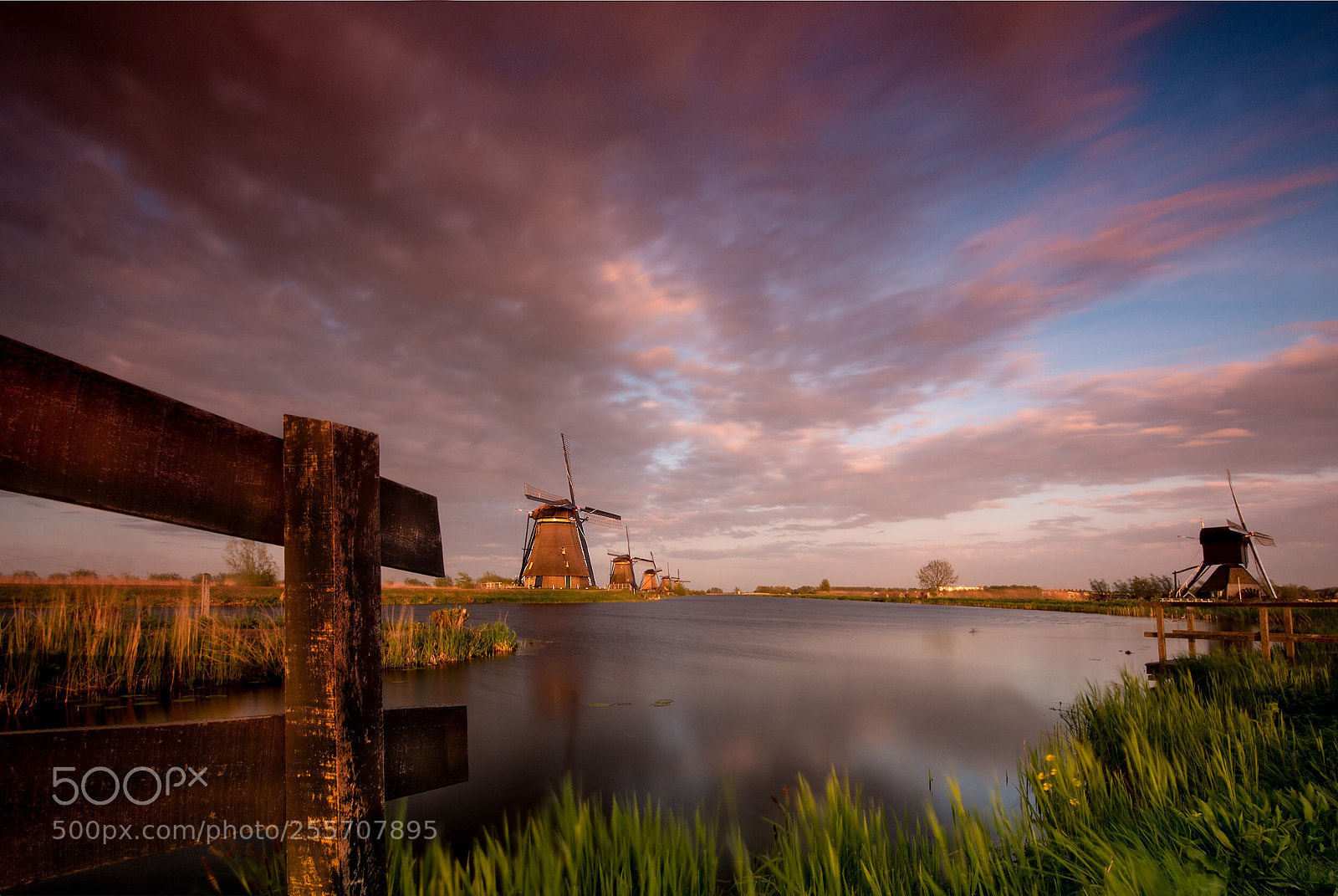 Nikon D610 sample photo. Evening mood  photography