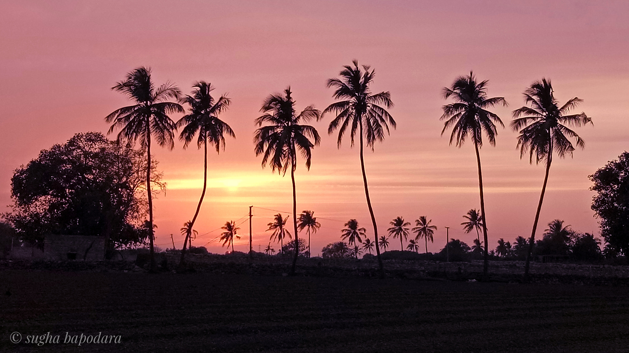 OPPO CPH1609 sample photo. Sunrises photography