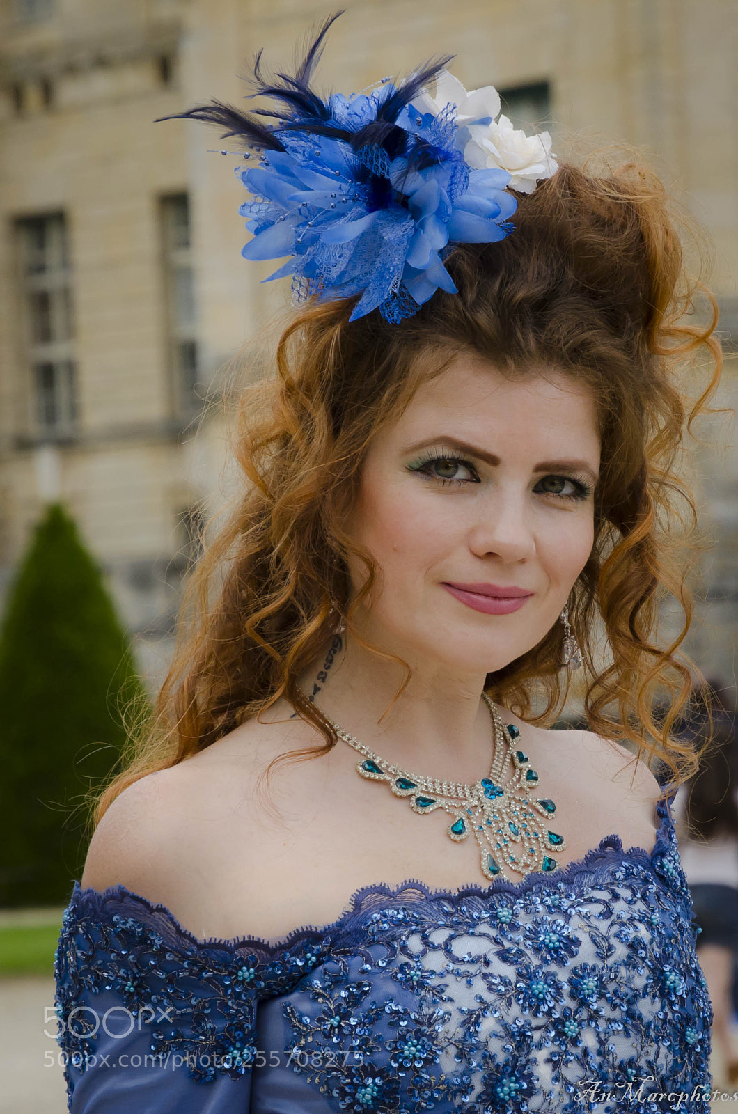 Nikon D7000 sample photo. Vaux le vicomte journ photography