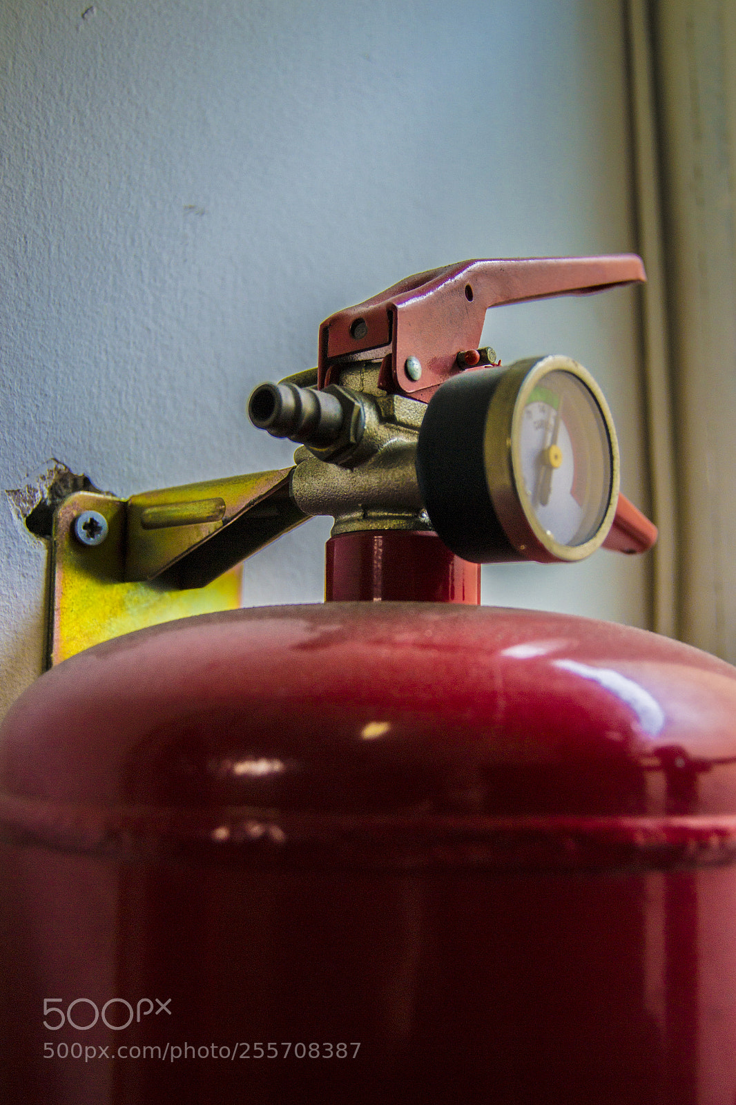 Nikon D3100 sample photo. B () photography