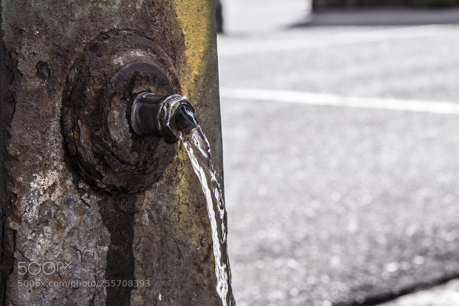 Canon EOS 600D (Rebel EOS T3i / EOS Kiss X5) sample photo. B () photography