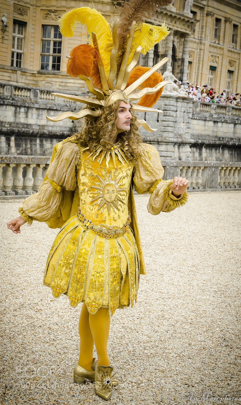 Nikon D7000 sample photo. Vaux le vicomte journ photography