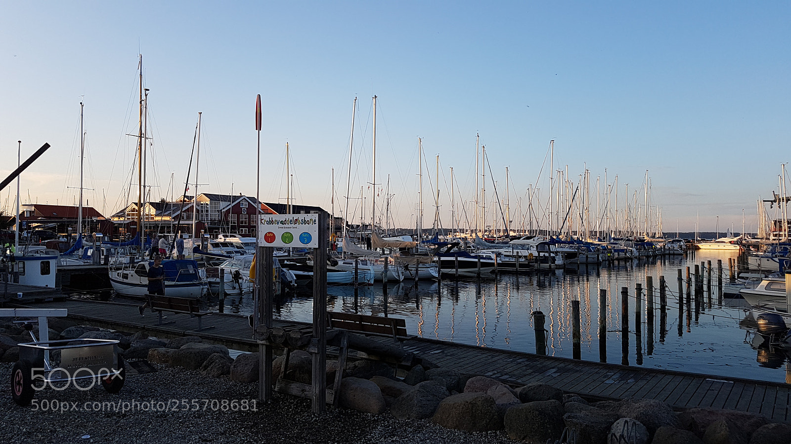 Samsung Galaxy S7 sample photo. 20160824_195525.jpg photography