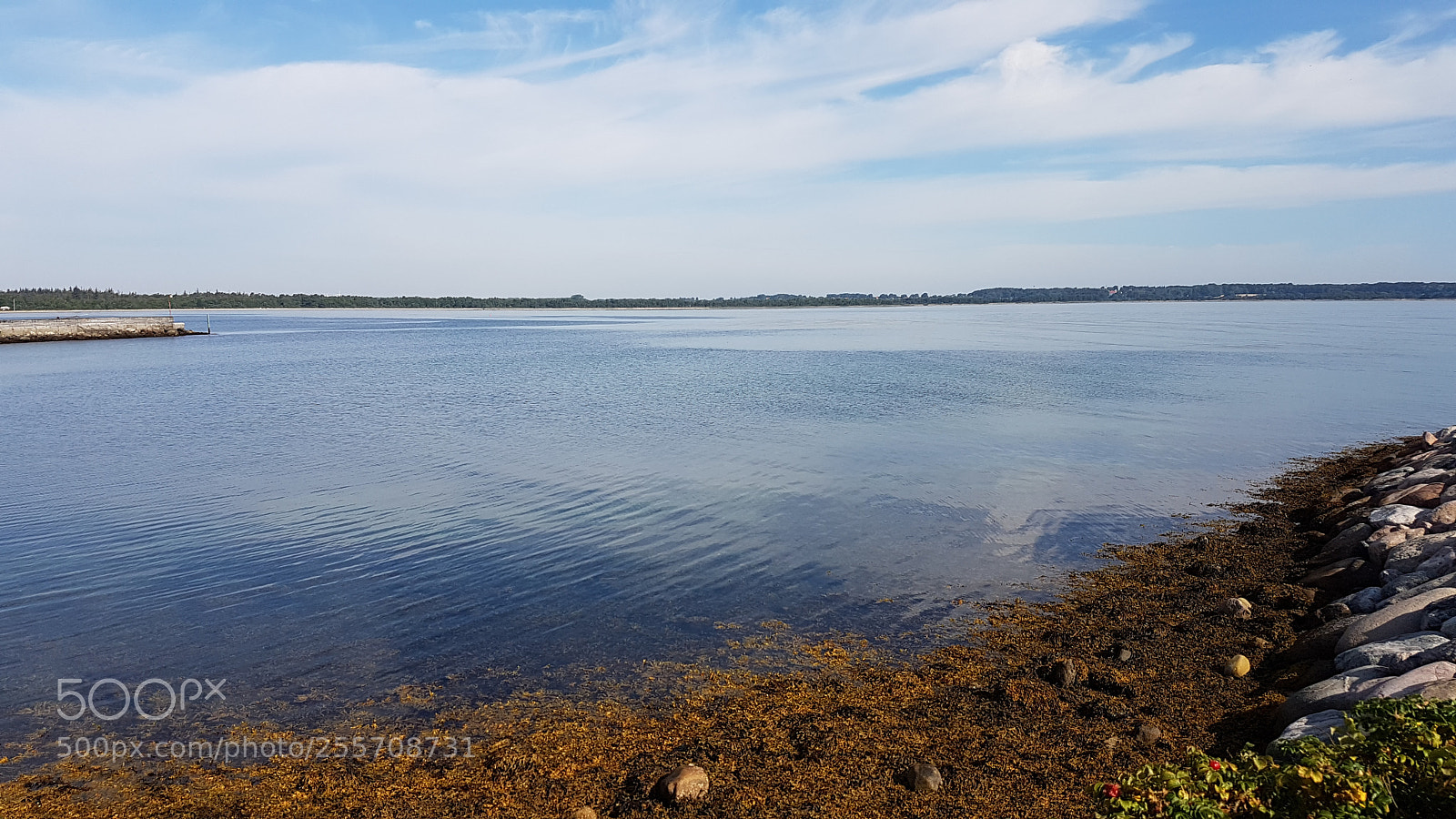 Samsung Galaxy S7 sample photo. 20160825_103517.jpg photography