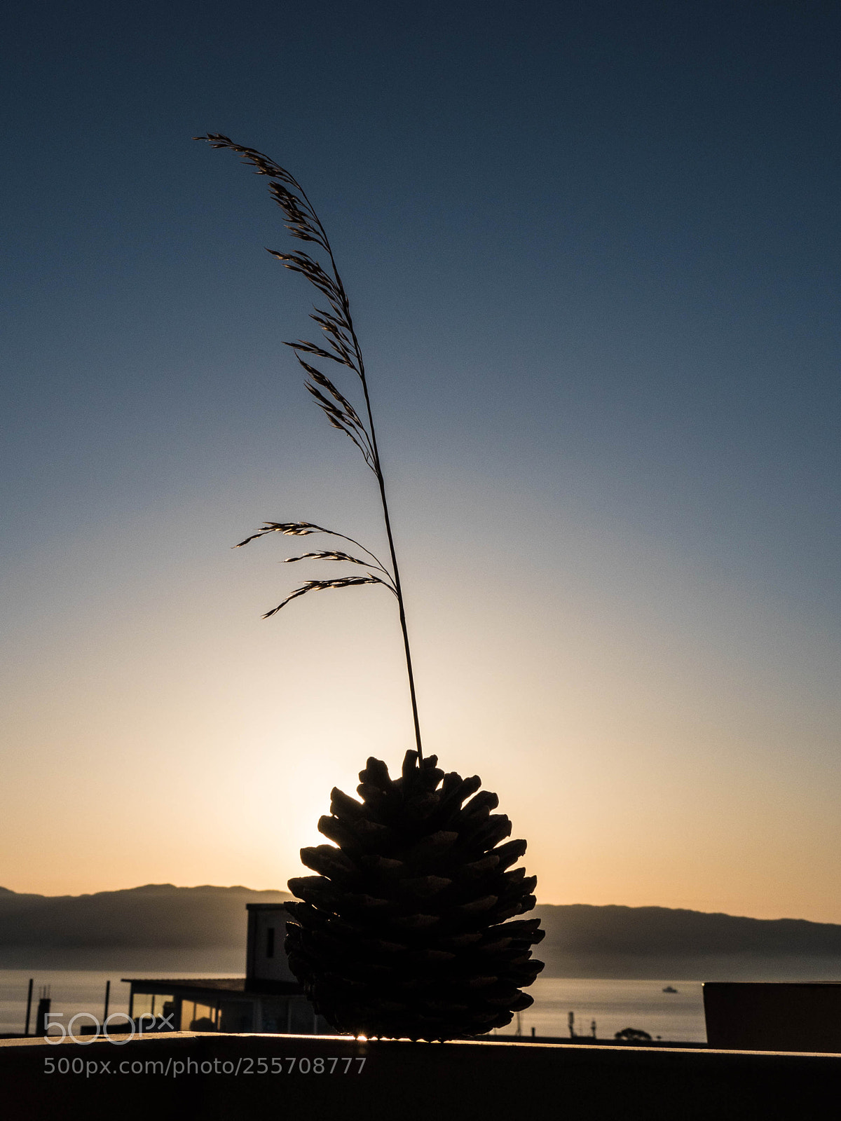 Panasonic Lumix DMC-GH4 sample photo. A () photography