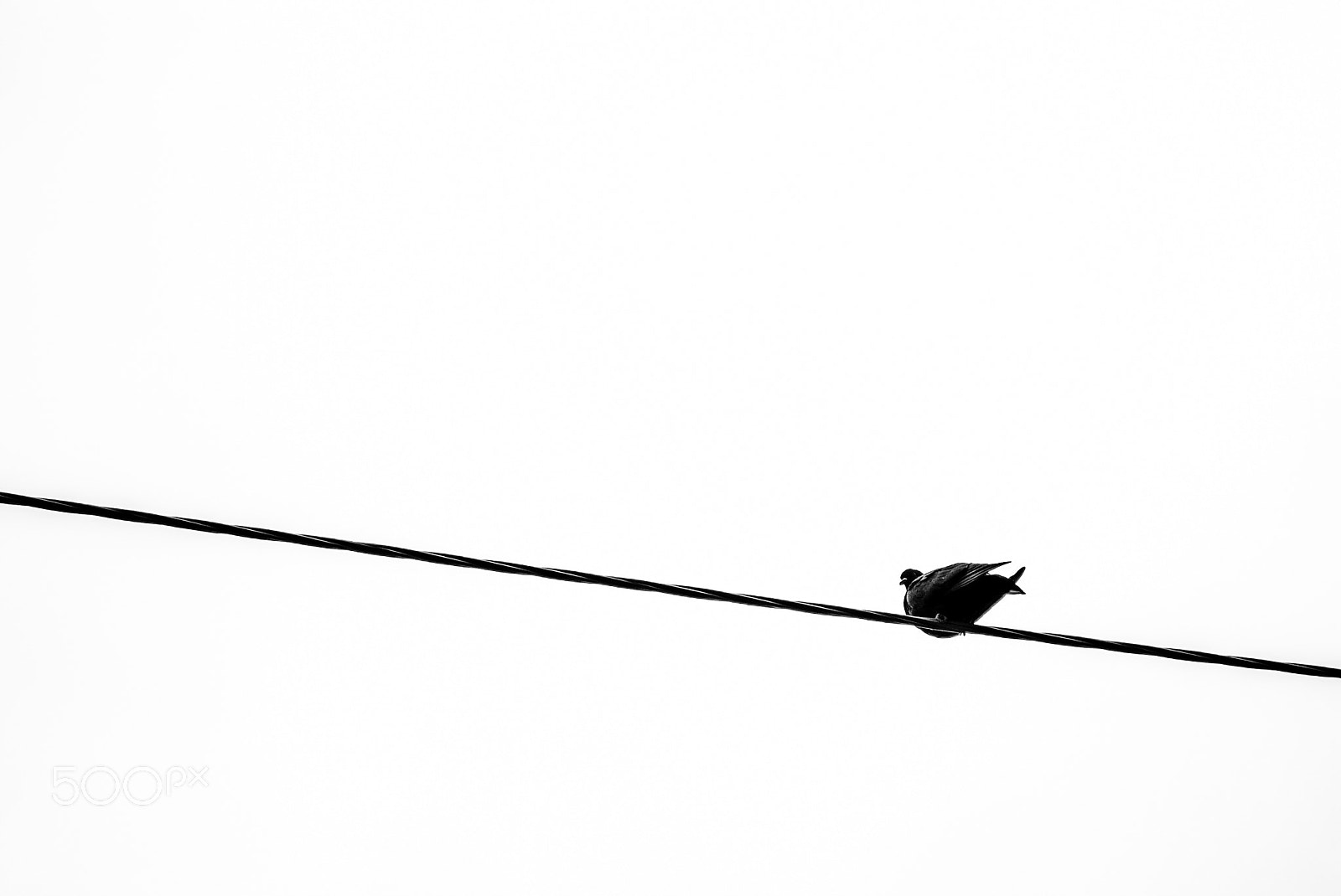 Fujifilm FinePix S5 Pro sample photo. A () photography