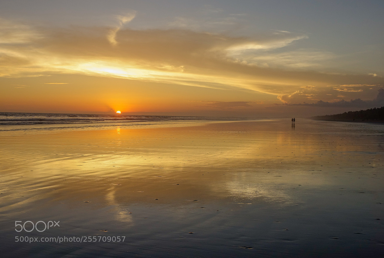 Sony Cyber-shot DSC-RX10 sample photo. Sunset on the lonely photography