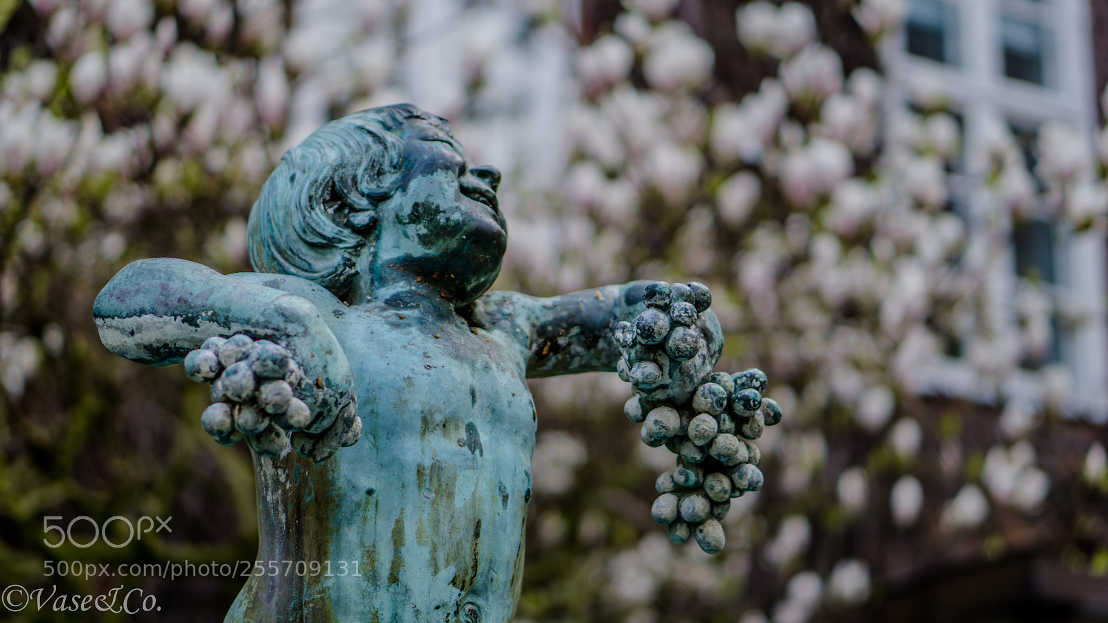 Sony a6000 sample photo. Laughing statue photography
