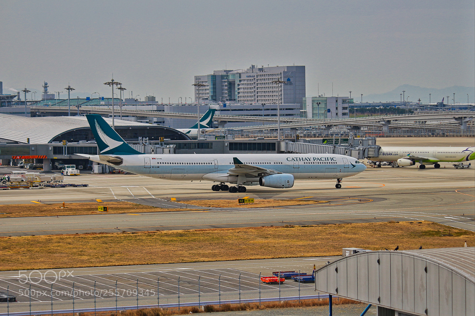 Canon EOS 100D (EOS Rebel SL1 / EOS Kiss X7) sample photo. Cx airbus a330 @ kix photography