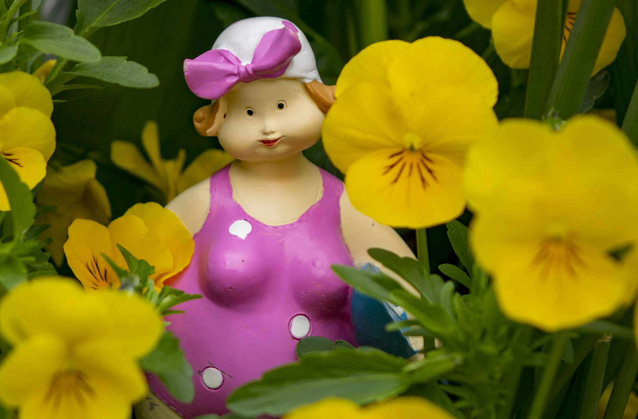 Sony Cyber-shot DSC-RX10 II sample photo. Pink and yellow photography
