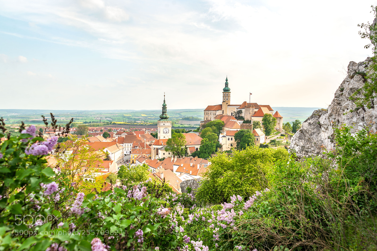 Nikon D610 sample photo. Mikulov and it panorama photography