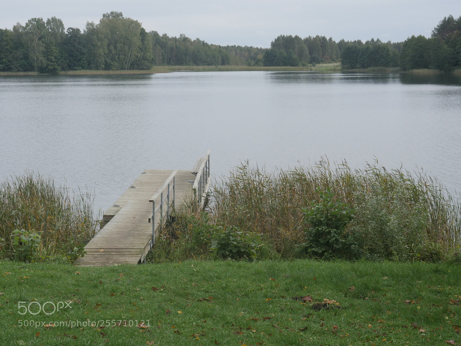Panasonic Lumix DMC-GH4 sample photo. B () photography