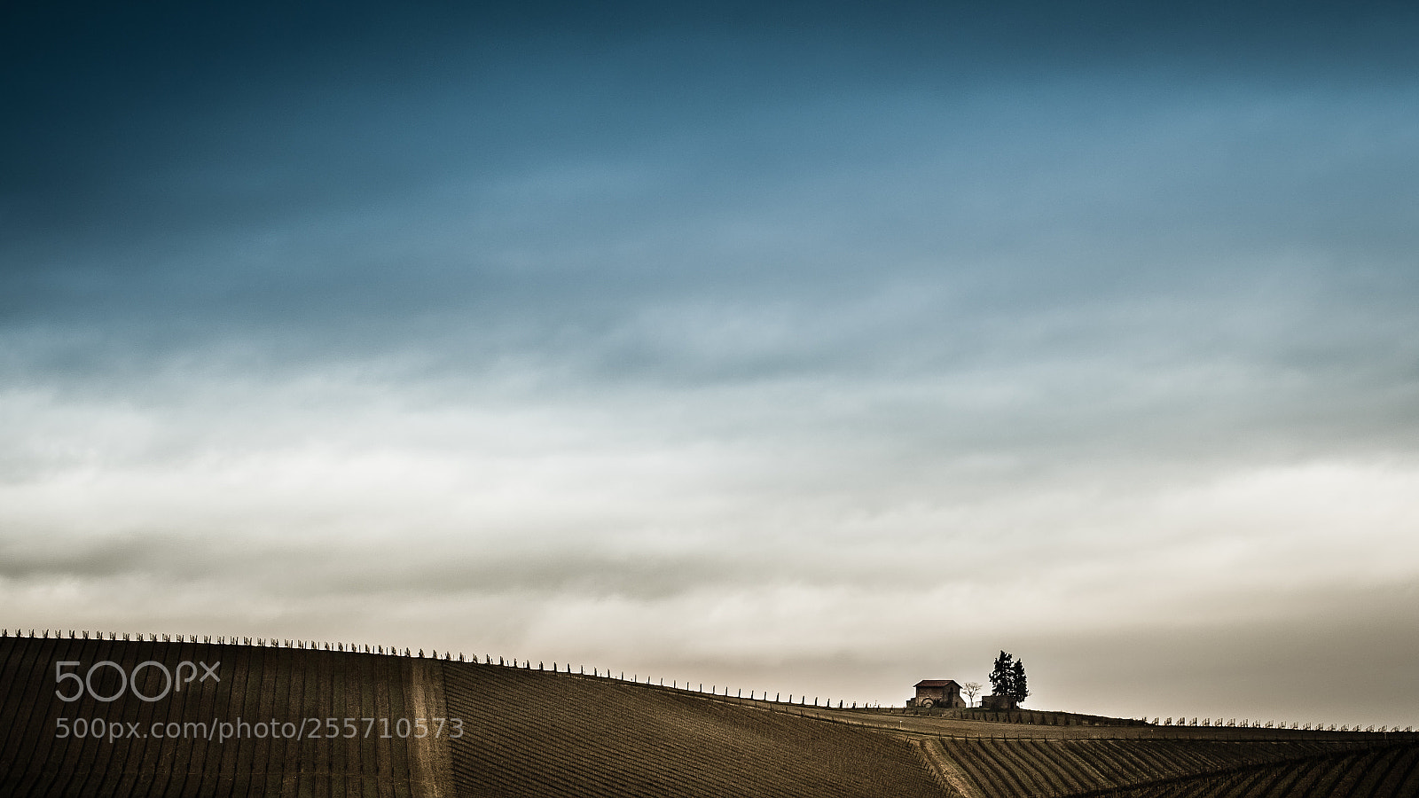 Fujifilm X-T20 sample photo. Winter in tuscany photography
