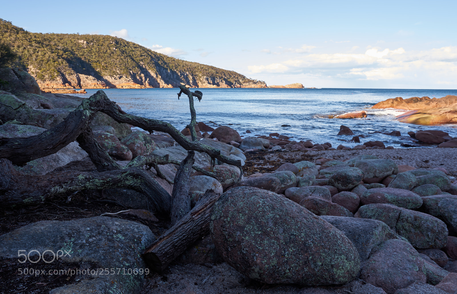 Sony a7 sample photo. Tasmania photography