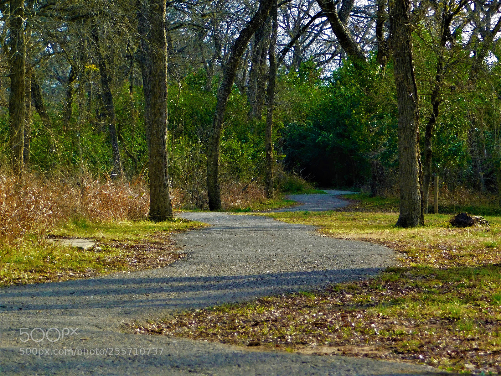 Nikon Coolpix B500 sample photo. () photography