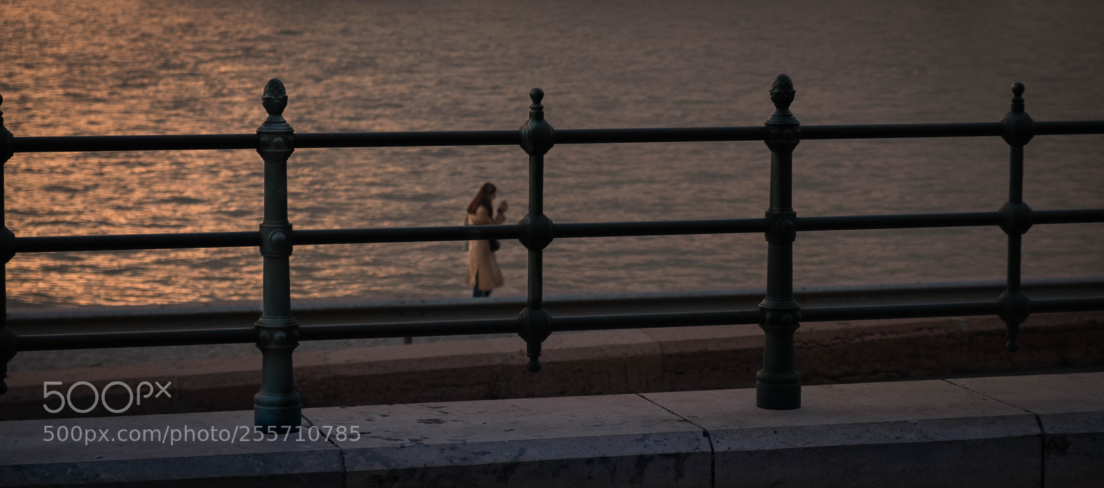 Fujifilm X-T2 sample photo. Traped in the danube photography