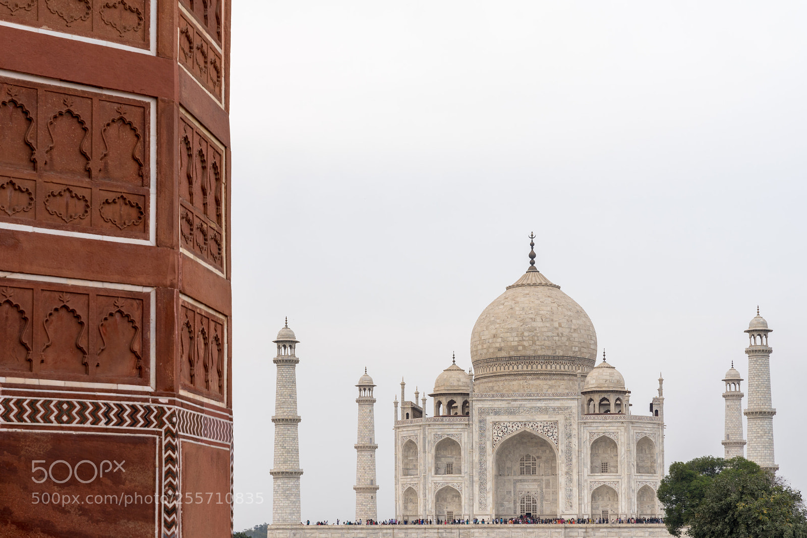 Sony a7 II sample photo. Taj photography