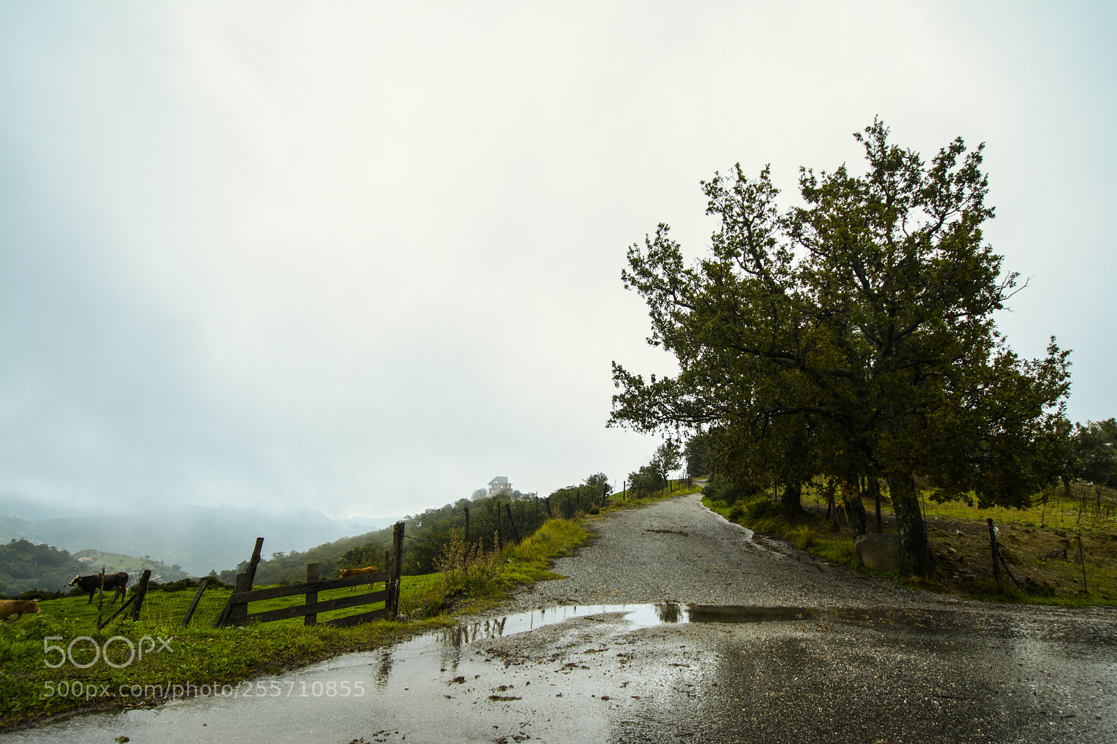 Nikon D7100 sample photo. B () photography