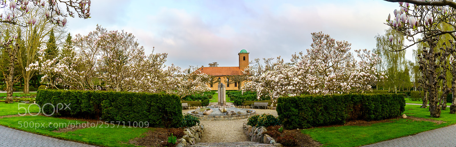 Sony a7 III sample photo. Flowering trees photography