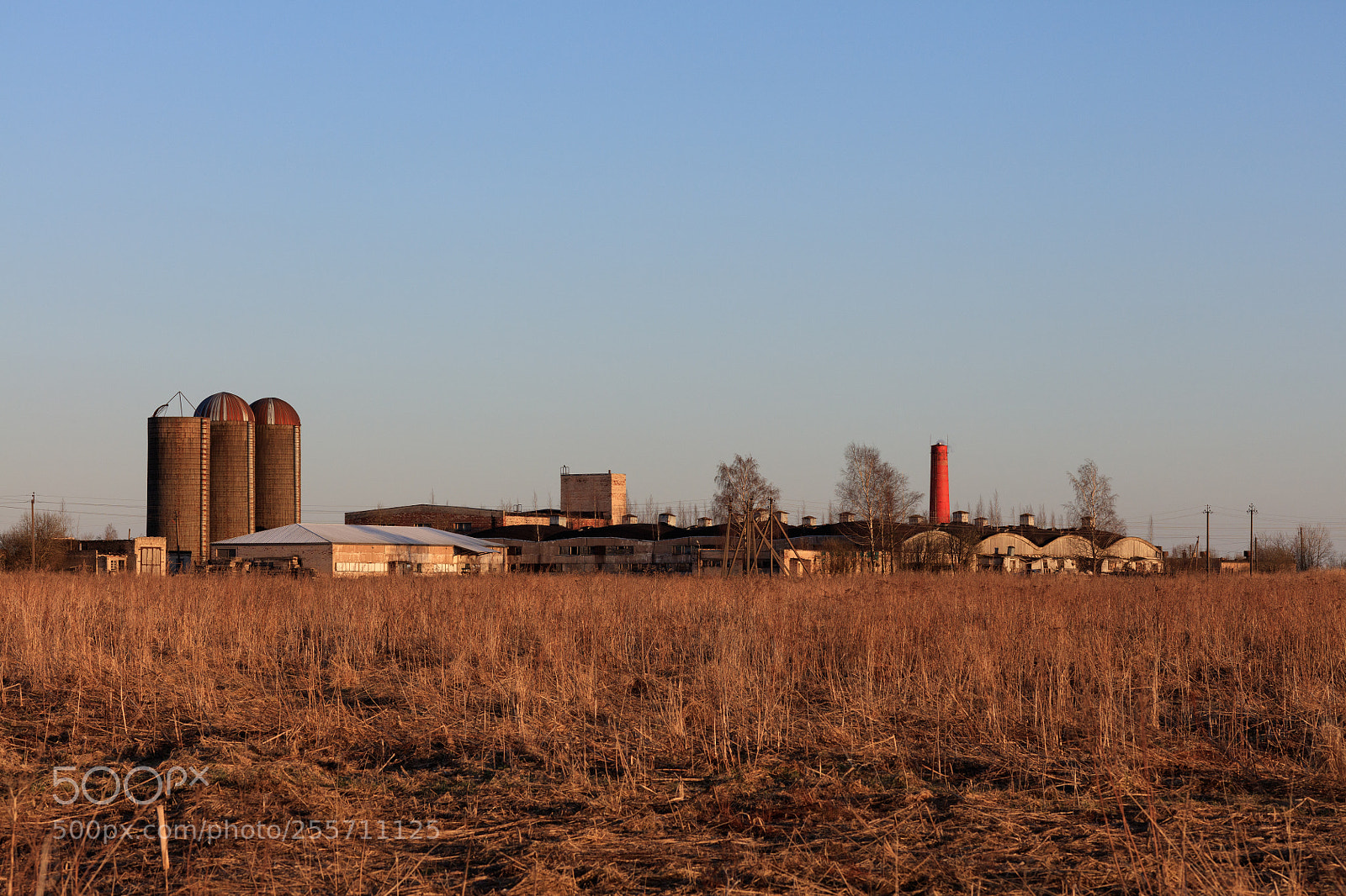 Canon EOS 5DS R sample photo. Синявинские Высоты photography