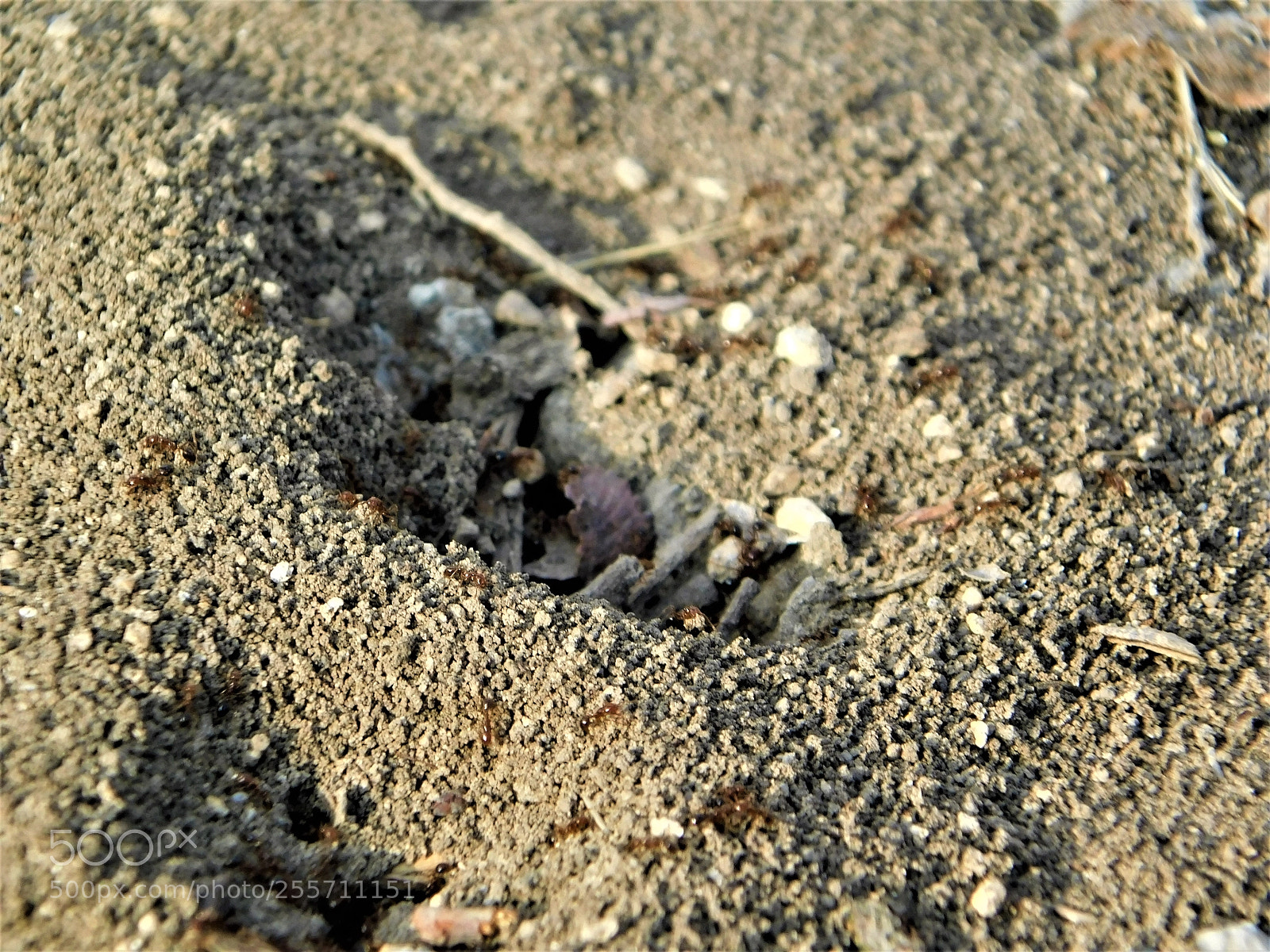 Nikon Coolpix B500 sample photo. () photography