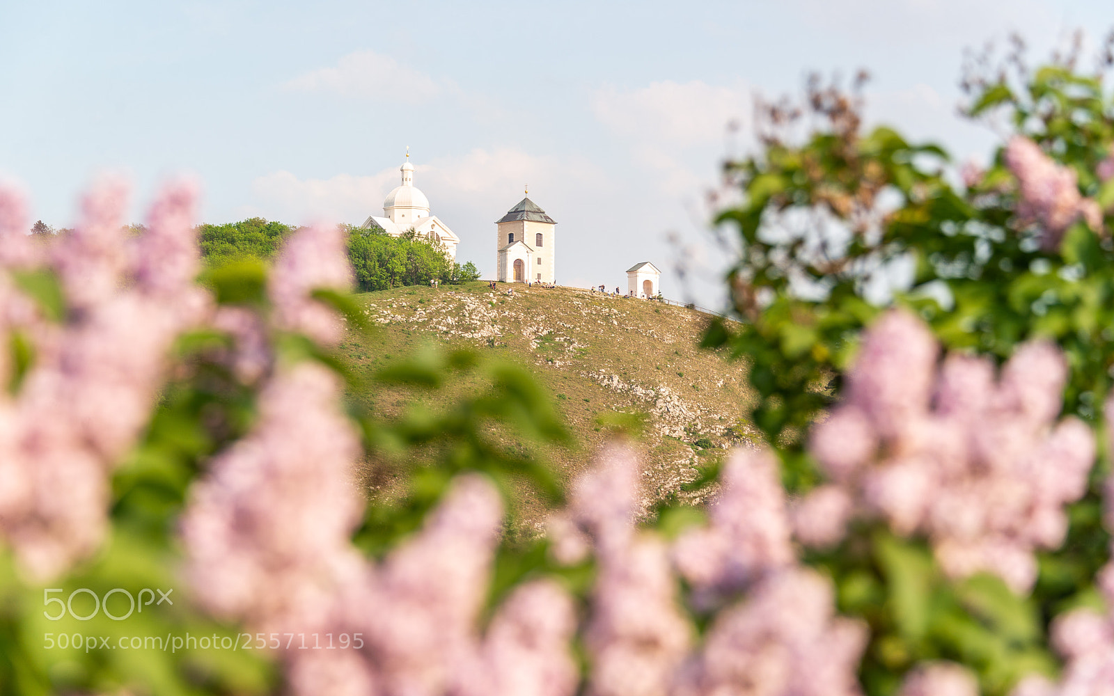 Nikon D610 sample photo. Mikulov panorama photography