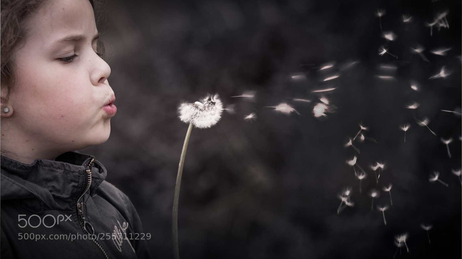Canon EOS 6D Mark II sample photo. Everybody reminds photography