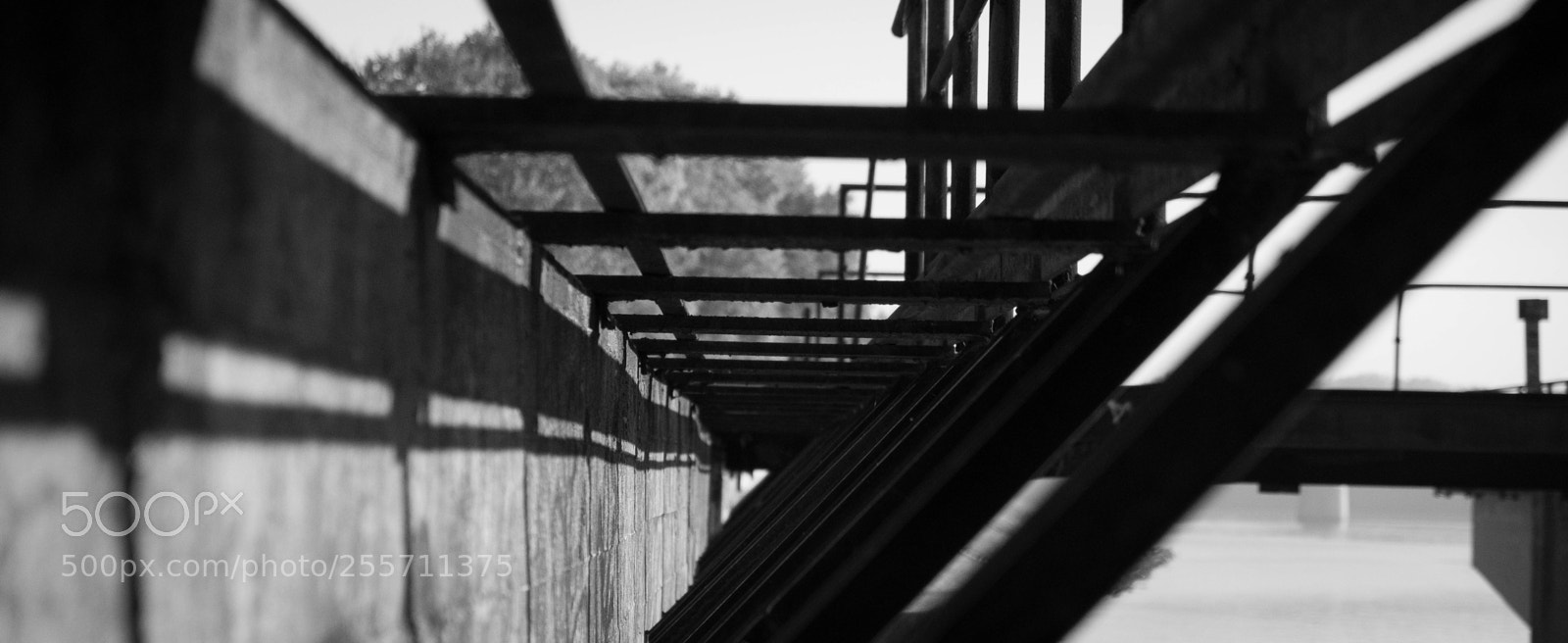 Fujifilm X-T2 sample photo. Lines on black photography