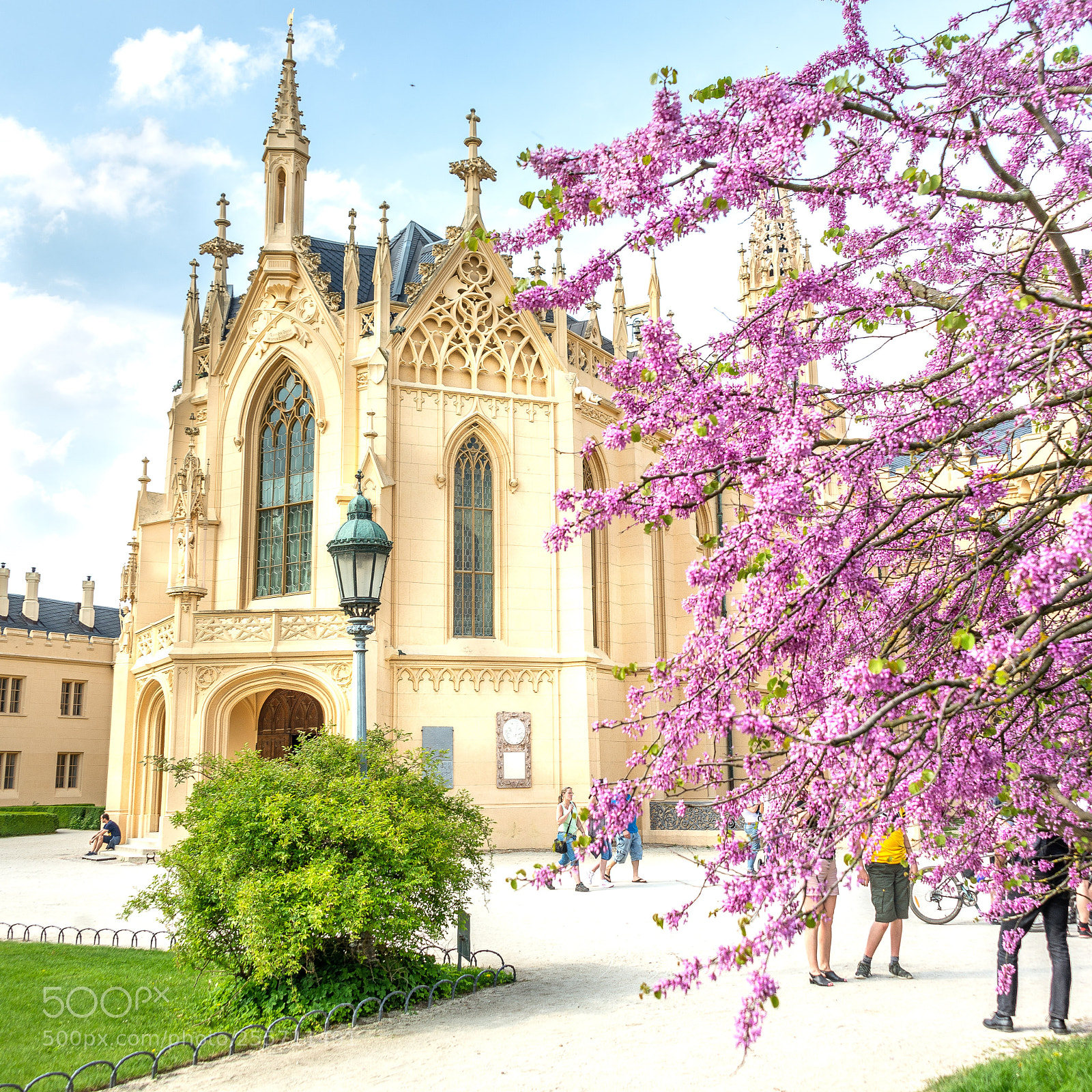 Nikon D610 sample photo. Lednice castle photography