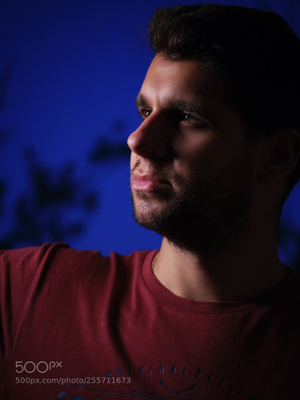 Panasonic Lumix DMC-G85 (Lumix DMC-G80) sample photo. Night portrait photography