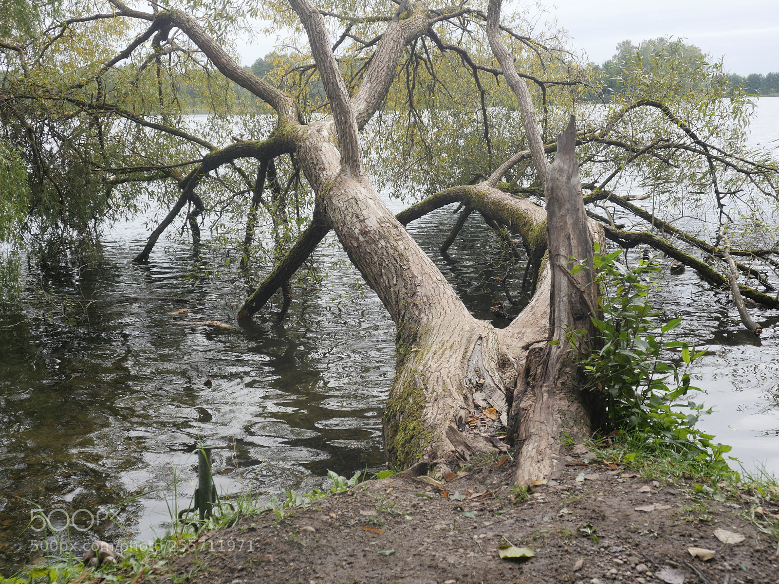 Panasonic Lumix DMC-GH4 sample photo. B () photography