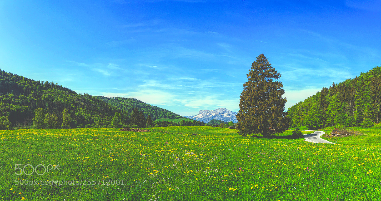 Sony a7 II sample photo. Panorama photography