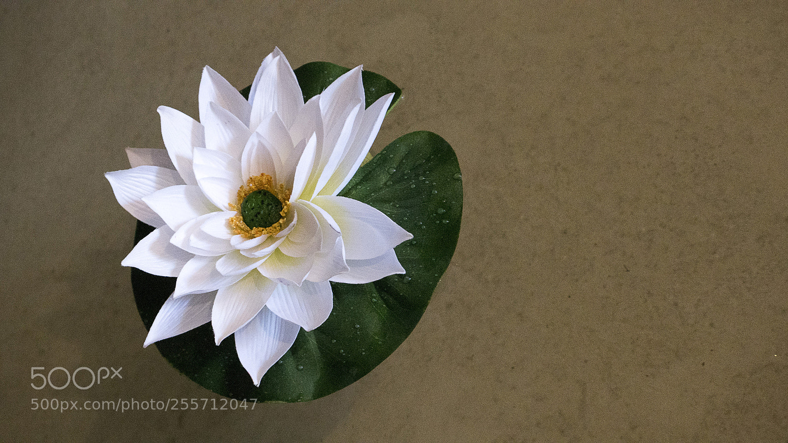 Panasonic Lumix DMC-GH4 sample photo. B () photography