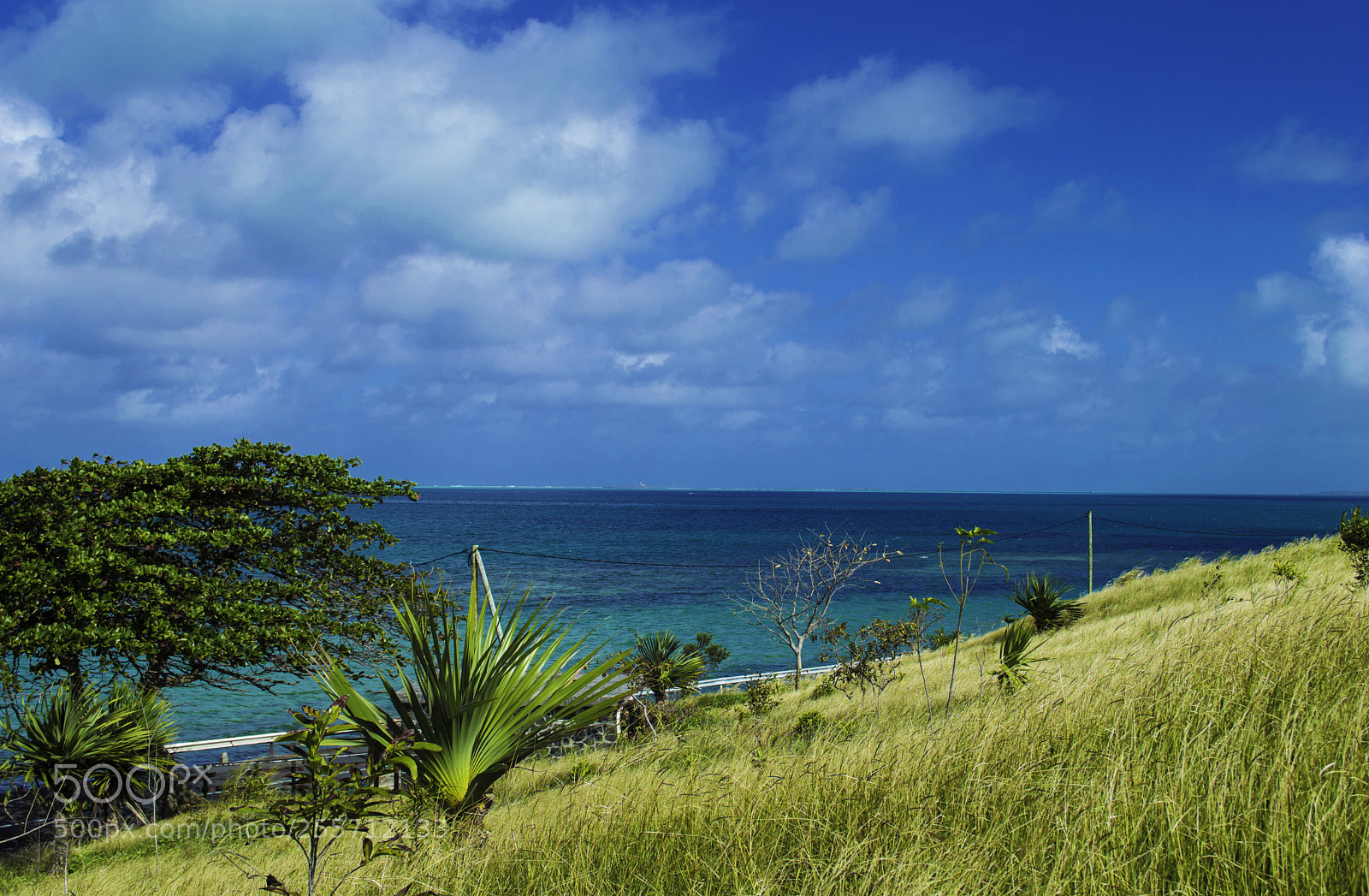Nikon D3200 sample photo. Nature mauritius photography