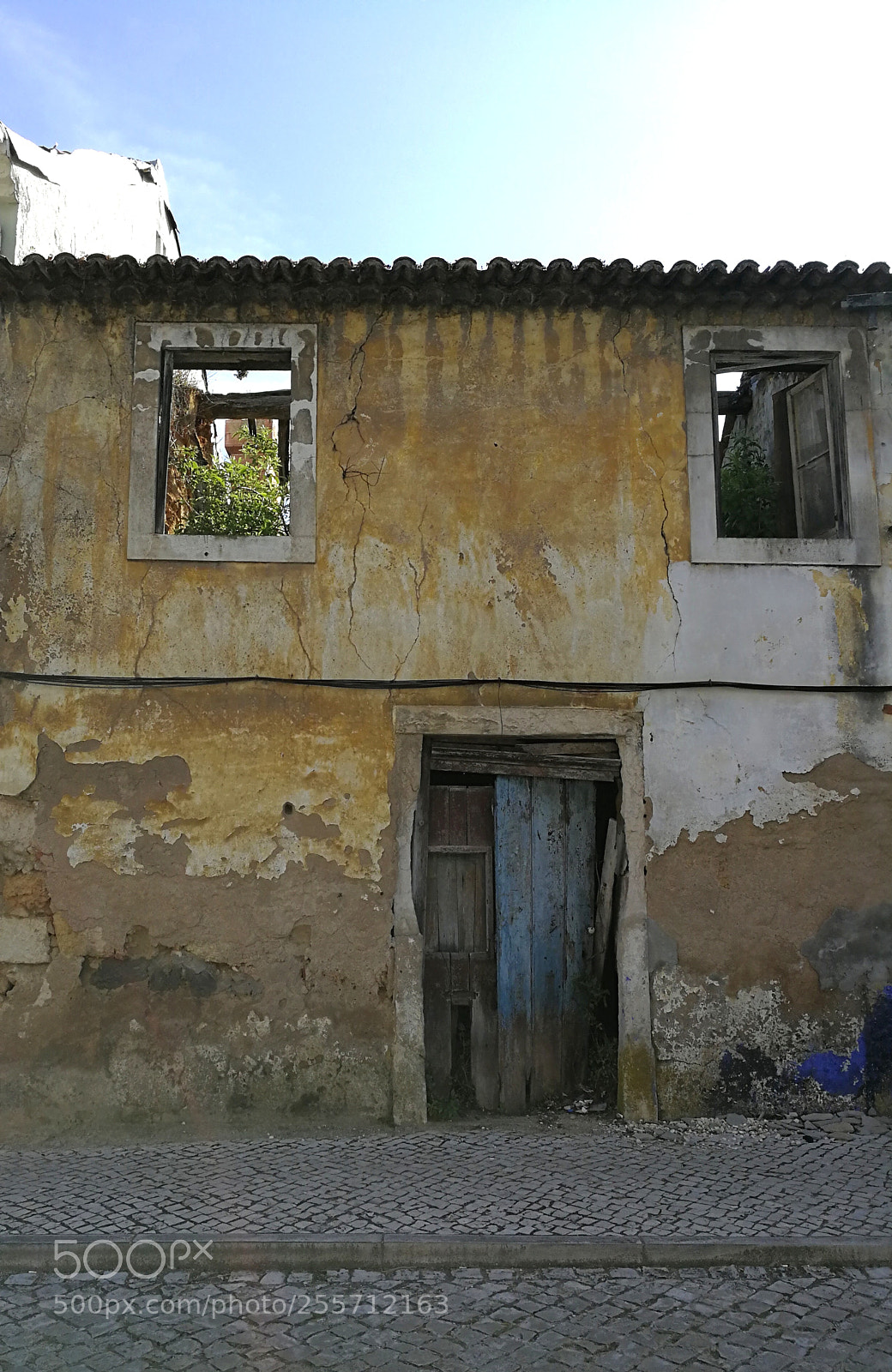 HUAWEI P10 sample photo. Untitled photography